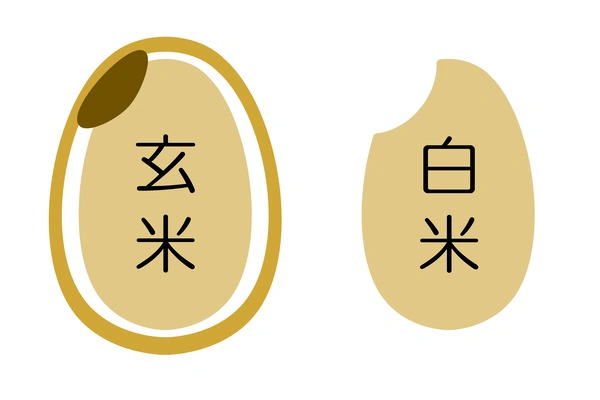 白米を玄米に変えるだけ 玄米が糖質制限に向いている理由を徹底解説 お役立情報