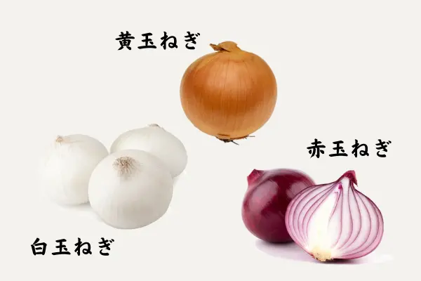 画像：玉ねぎの品種