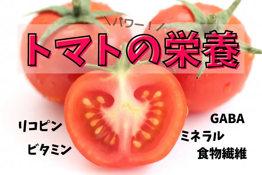 トマト栄養