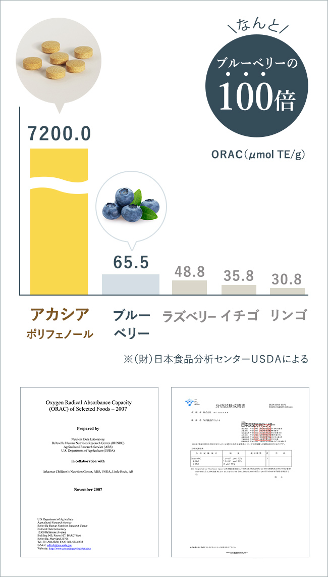 なんとブルベリーの100倍