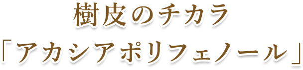 樹皮のチカラ「アカシアポリフェノール」