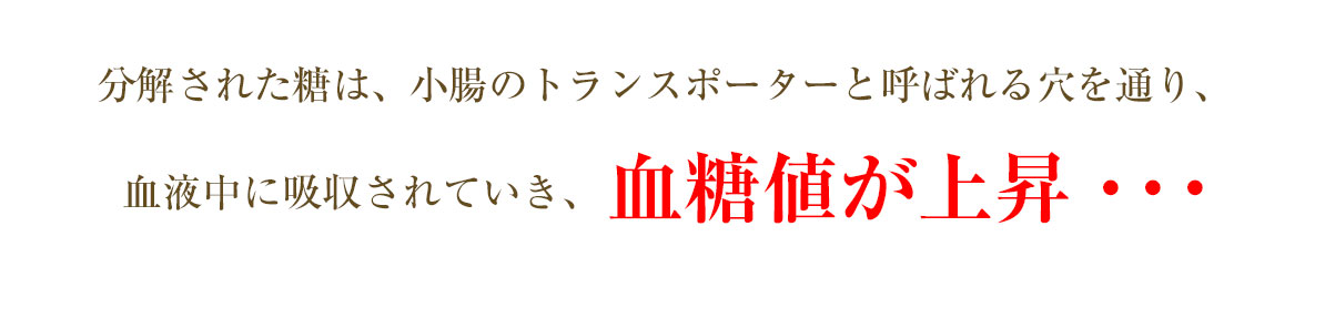 分解された糖は、小腸のトランスポーターと呼ばれる穴を通り、血液中に吸収されていき、血糖値が上昇・・・