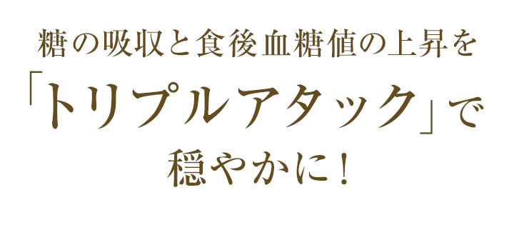 糖の吸収と食後血糖値の上昇を「トリプルアタック」で穏やかに！