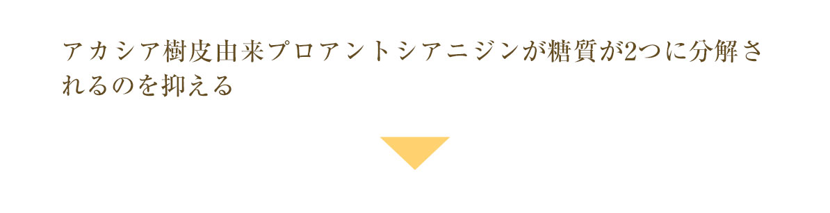 アカシア樹皮由来プロアントシアニジンが糖質が2つに分解されるのを抑える