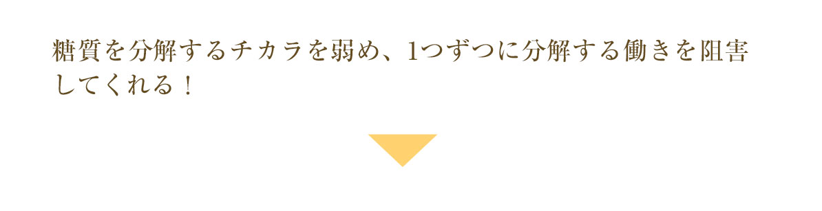 糖質を分解するチカラを弱め、1つずつに分解する働きを阻害してくれる！