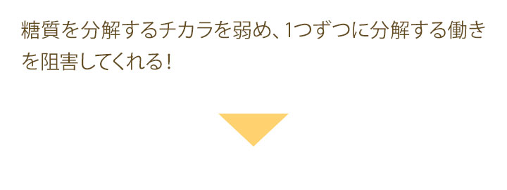 糖質を分解するチカラを弱め、1つずつに分解する働きを阻害してくれる！