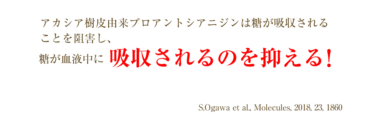 アカシア樹皮由来プロアントシアニジンは糖が吸収されることを阻害し、糖が血液中に吸収されるのを抑える！S.Ogawa et al., Molecules, 2018, 23, 1860