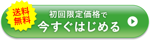 送料無料 初回限定価格で今すぐはじめる