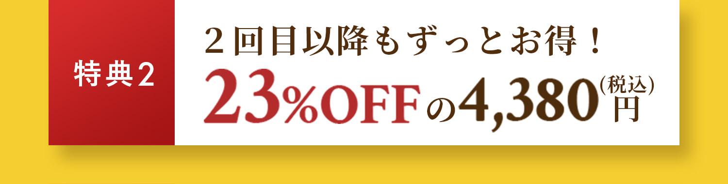 単品1袋12ヶ月 5700円