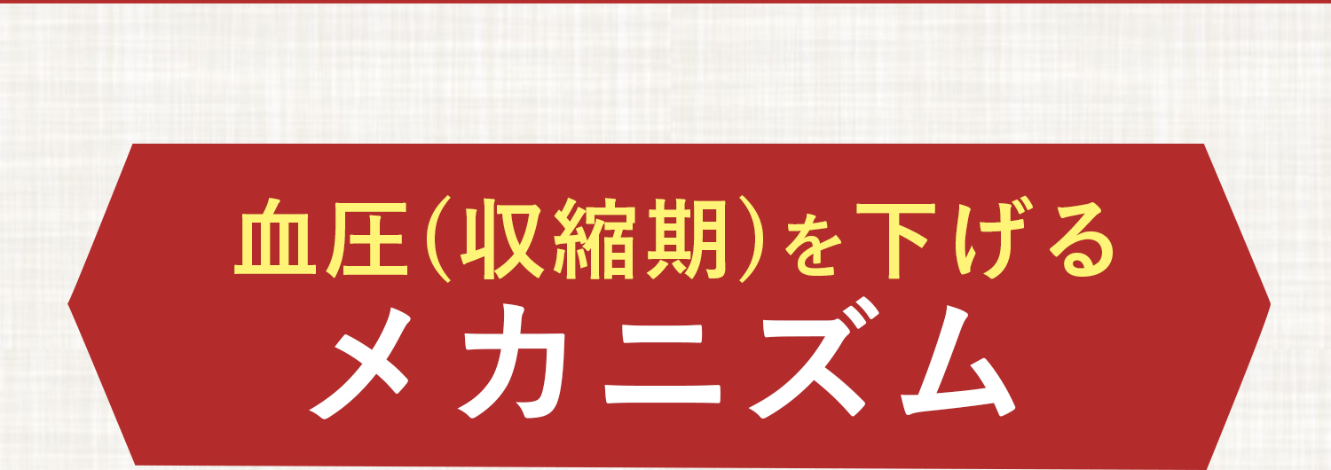 血圧(収縮期)を下げるメカニズム