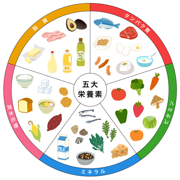 五大栄養素の表