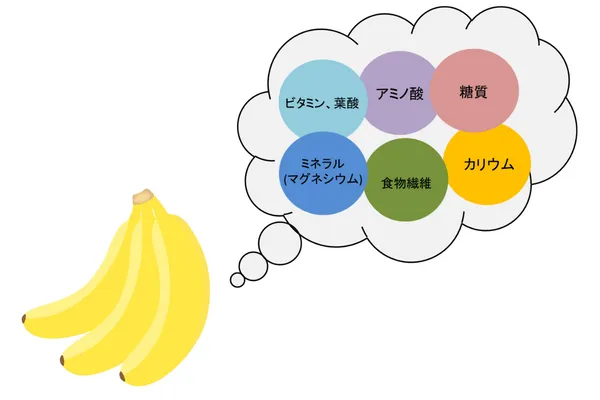 画像：栄養素まとめ