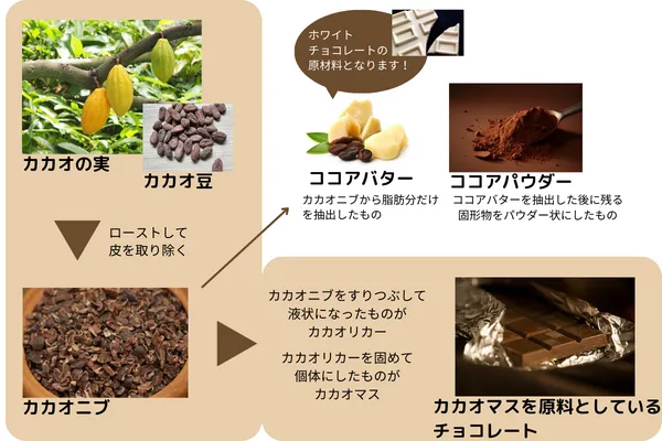 カカオの実からカカオマスができるまでの図