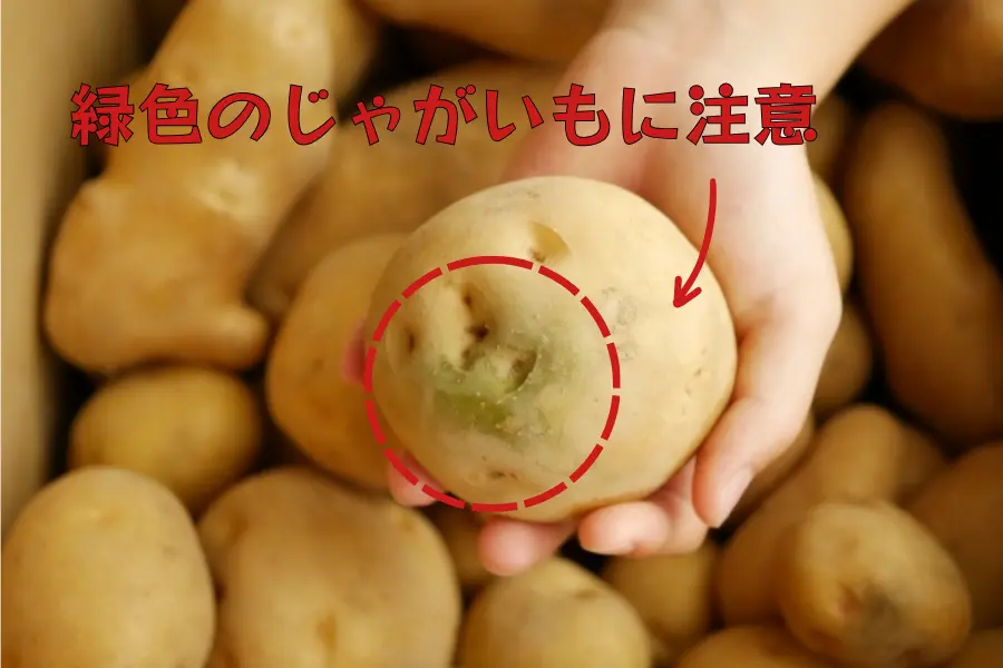 緑色のじゃがいもに注意