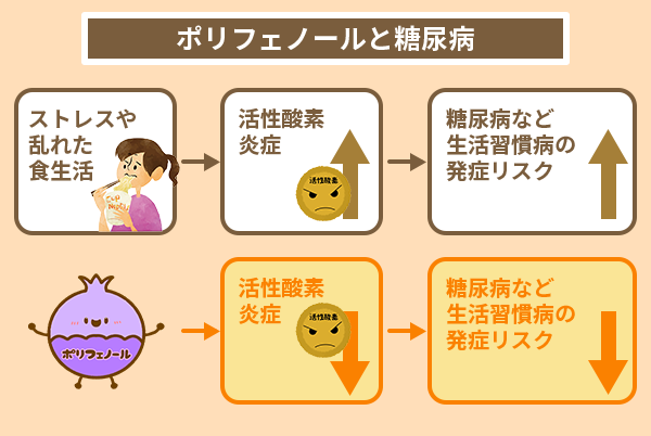 ポリフェノールの糖尿病