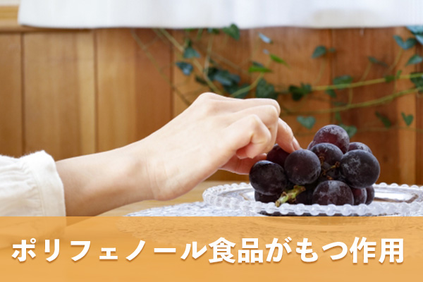 糖尿病の予防に役立つ理由はポリフェノールを含む食品がもつ二つの作用にある