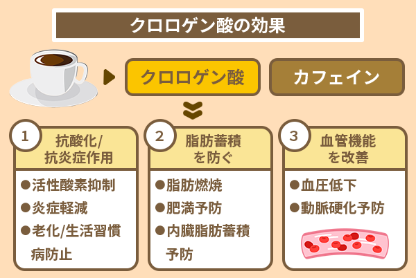 クロロゲン酸の効果