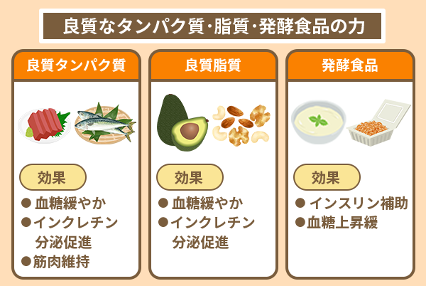 良質なタンパク質・脂質・発酵食品の力