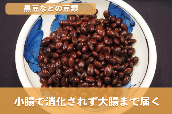 難消化性でんぷんを含む豆類は小腸で消化されず大腸まで届く