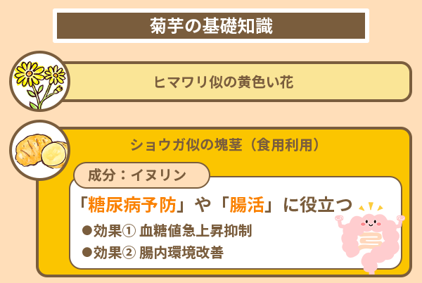 菊芋の基礎知識
