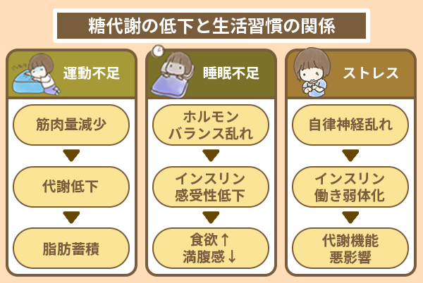 糖代謝の低下と生活習慣の関係