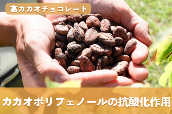 カカオポリフェノールが持つ抗酸化作用の仕組みを理解して生活習慣病を予防する