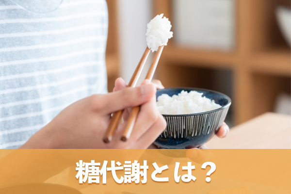 糖代謝とは糖をエネルギーに変える体の働きのことである