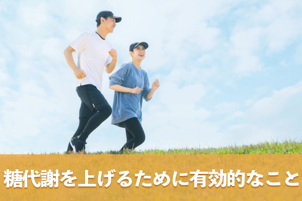 筋肉量の維持や増加は糖代謝を上げるために有効的である