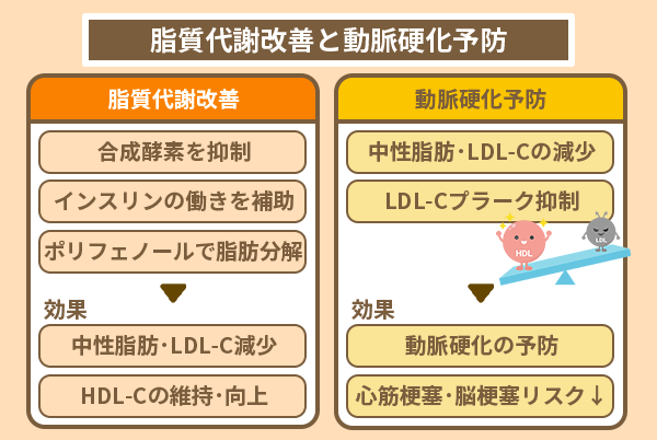 脂質代謝改善と動脈硬化予防