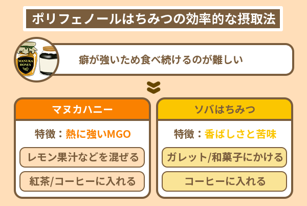 ポリフェノールはちみつの効率的な摂取法