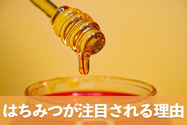 ポリフェノールが豊富なはちみつが注目される理由を解説