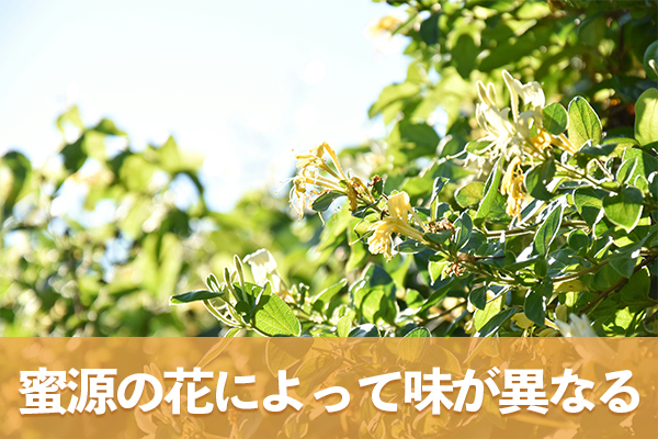 はちみつは蜜源の花によって味が異なるため好みのものを選ぼう