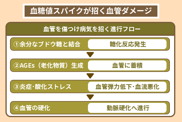血糖値スパイクが招く血管ダメージ