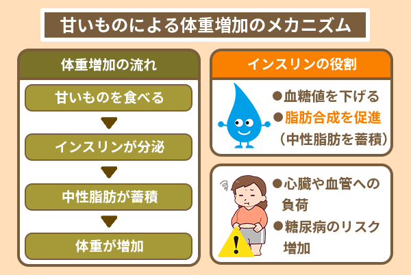 甘いものによる体重増加のメカニズム