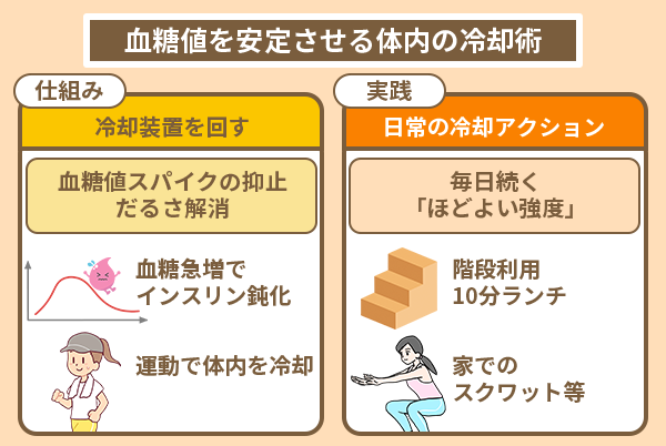 血糖値を安定させる体内の冷却術