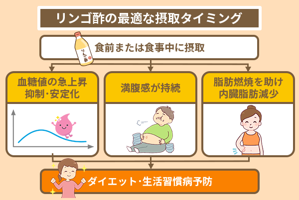 リンゴ酢の最適な摂取タイミング