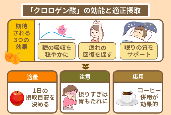 「クロロゲン酸」の効能と適正摂取