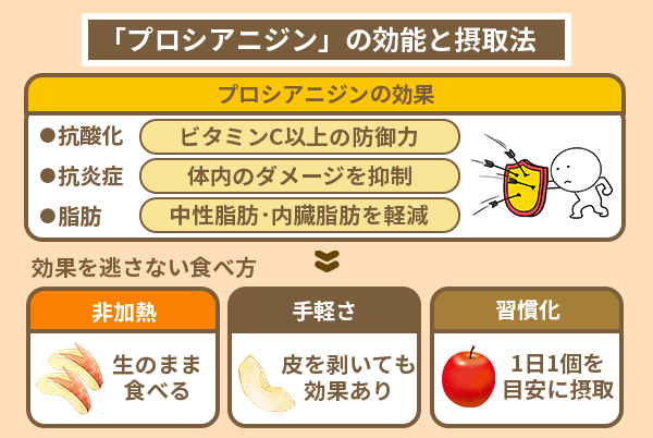 「プロシアニジン」の効能と摂取法