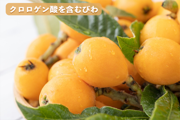 びわに含まれるクロロゲン酸は糖質や血糖値が高い人に効果的な成分