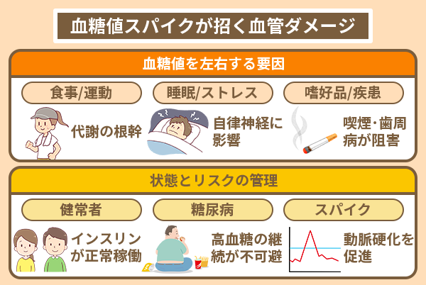 血糖値スパイクが招く血管ダメージ