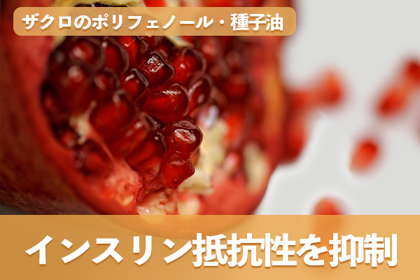 ザクロのポリフェノールや種子油が肥満によるインスリン抵抗性を抑制する