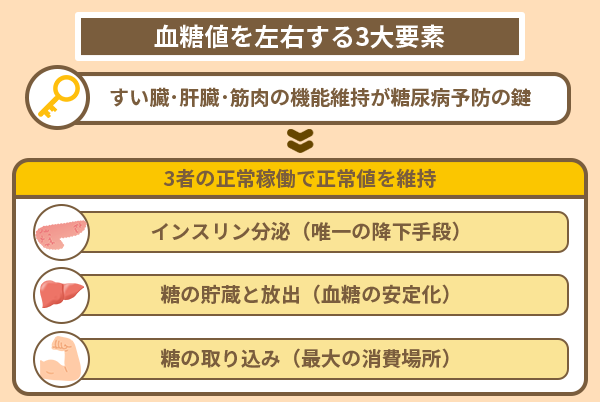 血糖値を左右する3大要素