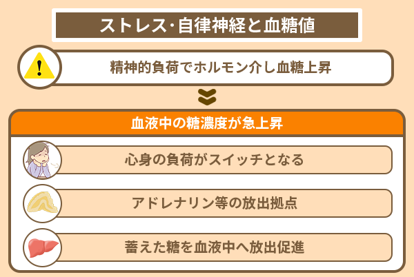 ストレス・自律神経と血糖値