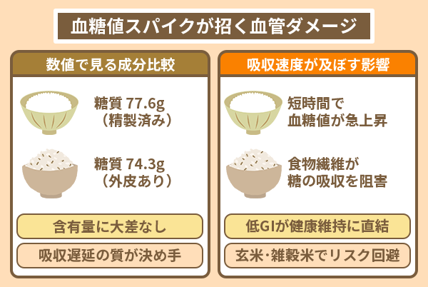 血糖値スパイクが招く血管ダメージ