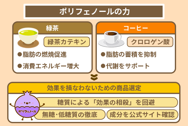 ポリフェノールの力