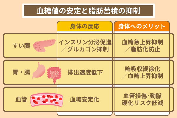 血糖値の安定と脂肪蓄積の抑制