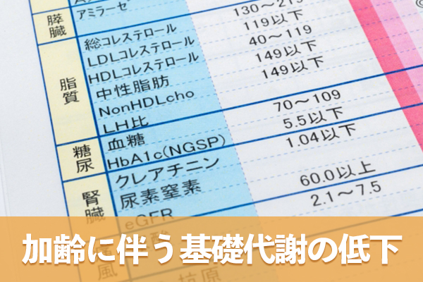 加齢に伴う基礎代謝の低下が内臓脂肪の蓄積に影響を及ぼす