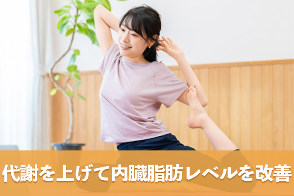 代謝を味方に付けて内臓脂肪レベルを1つ改善させる