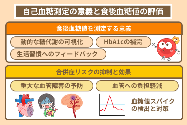 自己血糖測定の意義と食後血糖値の評価