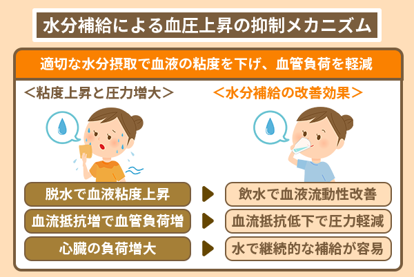 水分補給による血圧上昇の抑制メカニズム